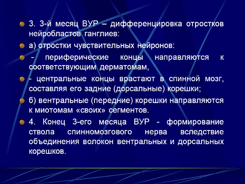 3. 3-й месяц ВУР – дифференцировка отростков нейробластов ганглиев:  а) отростки чувствительных нейронов: